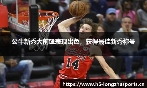 龙珠体育官网