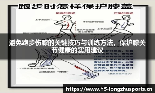 龙珠体育官方网站