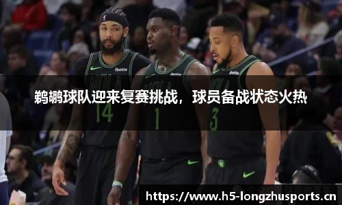 龙珠体育