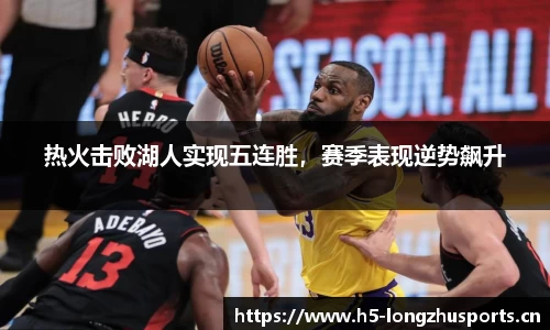 龙珠体育