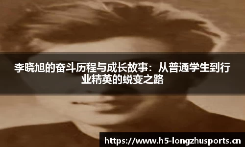 龙珠体育
