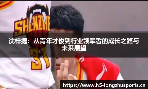 龙珠体育官网